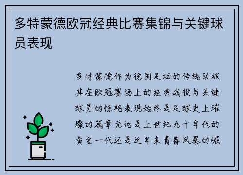 多特蒙德欧冠经典比赛集锦与关键球员表现