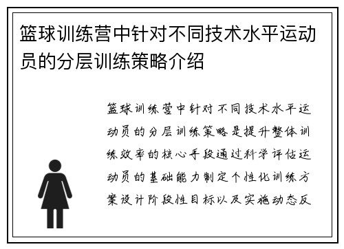 篮球训练营中针对不同技术水平运动员的分层训练策略介绍